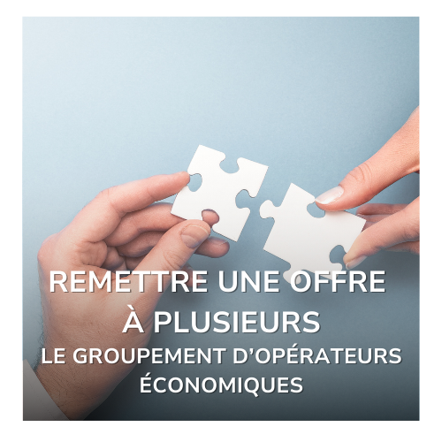 Fiche groupement d'entreprises.pdf