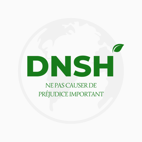 Logo DNSH.png