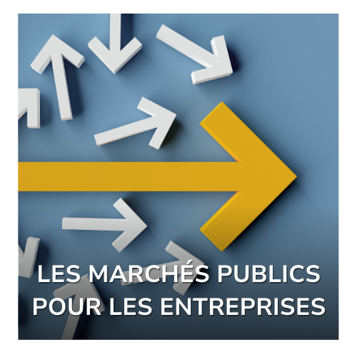 Lien vers le guide les marchés publics pour les entreprises