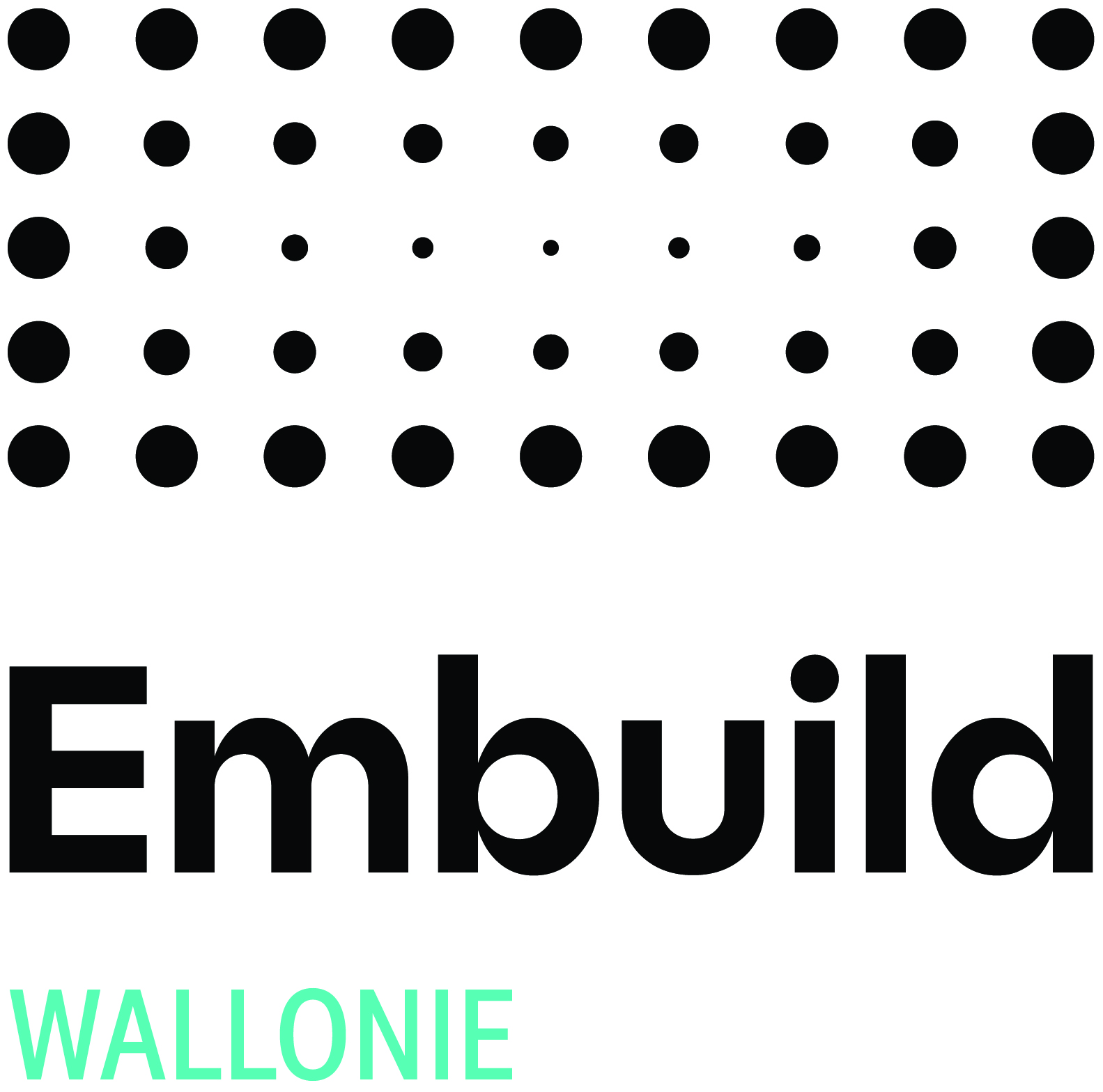 Embuild_logo_wallonie_black_CMYK.jpg (Embuild_logo_versions_CMYK_220520)
